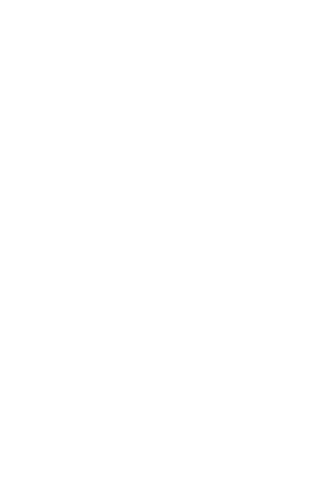 Snowflakes